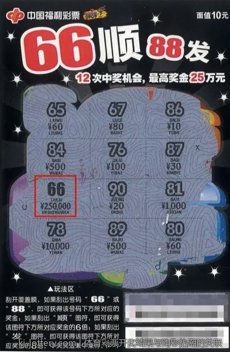 体育彩票开奖结果与购彩热潮的关联