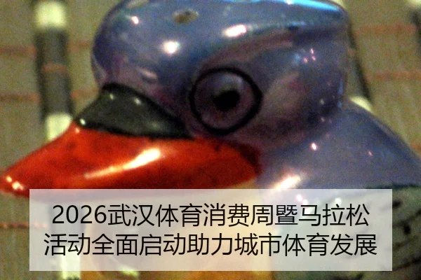2026武汉体育消费周暨马拉松活动全面启动助力城市体育发展